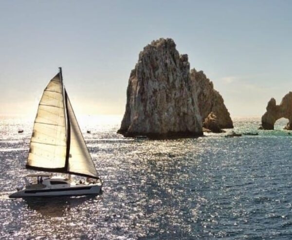 ALFA 50 CATAMARAN
